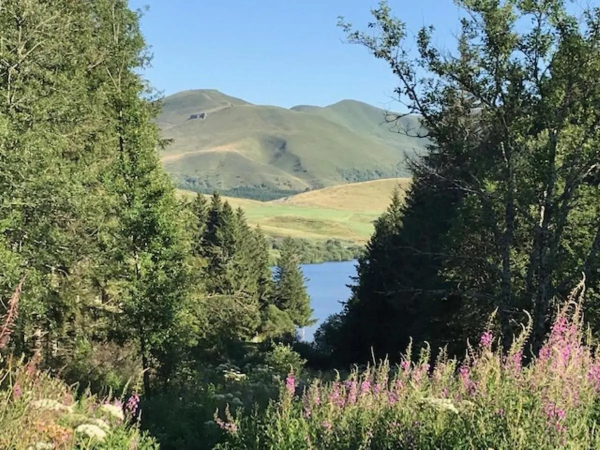Beau T2 En Centre-Ville Du Mont-Dore, Au Pied Des Thermes, Pour 4 Pers, Bien Equipe, Ascenseur, Wi-Fi - Fr-1-608-241 0*, Le Mont-Dore